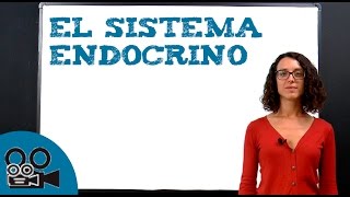 El sistema endocrino [upl. by Nojid]