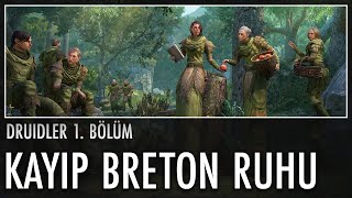 Druid Diriliş Breton ve Druidlerin Kökeni [upl. by Hna]