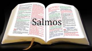 LIVRO DOS SALMOS COMPLETO [upl. by Enidanreb]