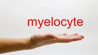 How to Pronounce myelocyte  American English [upl. by Itra]