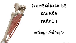 Biomecánica de cadera parte 1 movimientos y anatomía [upl. by Hashim]