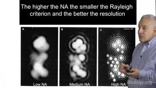 Microscopy Resolution in Microscopy Jeff Lichtman [upl. by Eidnil]