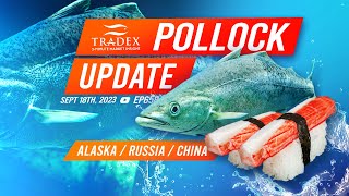 3MMI  Pollock Market Update Alaska Russia China [upl. by Edgerton489]