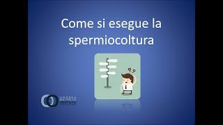 Come si esegue una spermiocoltura Consigli per eseguire correttamente la spermiocoltura [upl. by Sonitnatsnok406]