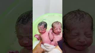 twins in first bath babyborn baby newbornbabymoments [upl. by Etan310]