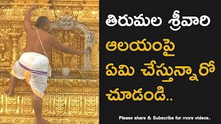 Tirumala Sri Venkateswara Swamy Temple Inside Video [upl. by Sapowith]