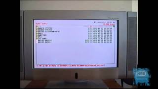 How To Install Programs and Show In FMCB Tutorial FAT or SLIM PS2 [upl. by Imalda746]