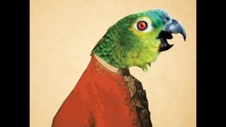 Parrot singing opera original video [upl. by Rech774]