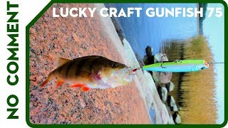 Ловля окуня на поппер осенью Lucky Craft Gunfish 75 [upl. by Dnalel621]