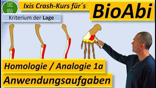 Homologe und analoge Organe Homologiekriterien Anwendungsaufgaben 1a ErläuternBegründen BioAbi [upl. by Astera862]