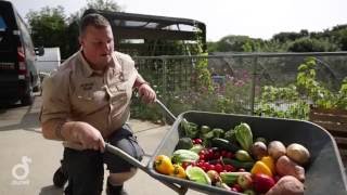 Daily Diet for the Gorillas at Durrell [upl. by Hametaf]