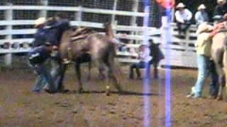 Dayton Rodeo Wild Horse Race [upl. by Tnomed]