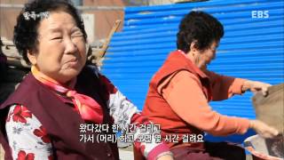 한국기행  Korea travel소양강 3부 육지속의 섬002 [upl. by Nerland469]