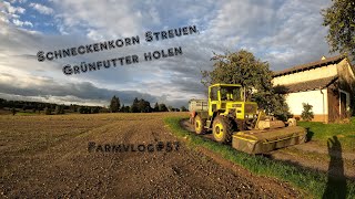 Schneckenkorn streuen  FarmVlog57 [upl. by Yehc]