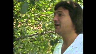 Saban Saulic  Hej Jano Jano Official Video 1989 [upl. by Shabbir]