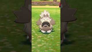 ジグザグマ Zigzagoon【ポケモン剣盾】 [upl. by Kcirddet]