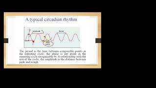 Phytochromes Part 2 [upl. by Alejo]