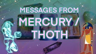 🧞👁️ Messages from THOTHMERCURY✨🌠  pick a card [upl. by Haleelahk35]