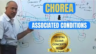 Chorea and its Associated Conditions  Neurophysiology🧠 [upl. by Bearnard671]