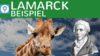 Evolutionstheorie von Lamarck  Beispielaufgabe Giraffen  Evolution 5 [upl. by Ayak]