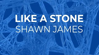 shawn james  like a stone audioslave cover lyrics [upl. by Brook791]