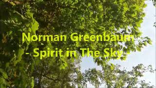 Norman Greenbaum  Spirit in the Sky Lyrics [upl. by Monjan]