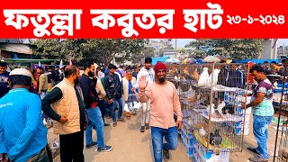 ফতুল্লা কবুতর হাট ২৩১২০২৪  kobutor hat 2024  pigeon market in bangladesh  fotulla kobutor hat [upl. by Nolla308]