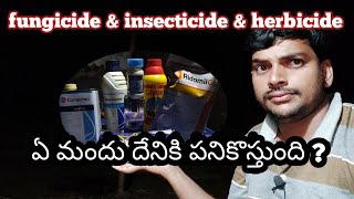 fungicide amp insecticide amp Herbicide ఈ మూడింటి మధ్యన డిఫరెంట్ ఏమిటి [upl. by Assadah]