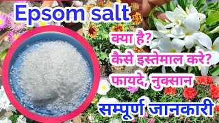 Epsom salt के बारे में सम्पूर्ण जानकारीepsom Salt on plant how to use epsomsalt garden [upl. by Nay]