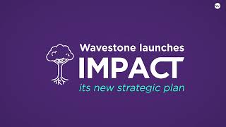 Impact Wavestone 20212025 strategic plan [upl. by Utir539]