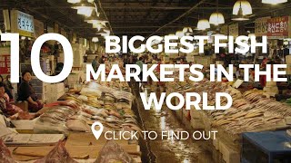 Top 10 Biggest Fish Markets In The World [upl. by Arvie]