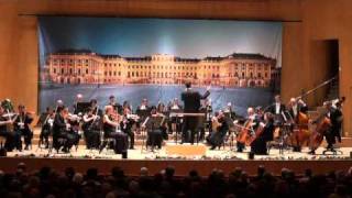 Schönbrunn Orchester [upl. by Guimond]