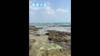 奄美大島 旅行 国内 土盛海岸 iland amamioshima 20240209 [upl. by Llednik]