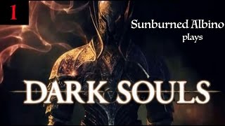 Sunburned Albino Plays Dark Souls  EP 1 [upl. by Neelyad807]