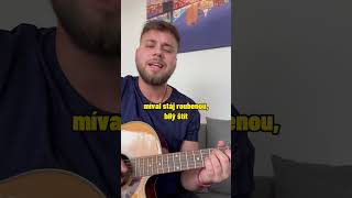 rez  holubí dům 🏡 cover [upl. by Akihsan]