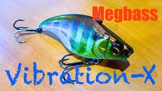 Megabass VibrationX RattleIn Review  Underwater Footage [upl. by Erret]