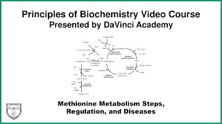 Methionine Metabolism Steps Regulation and Diseases Metabolism 18 of 21 [upl. by Yvor]