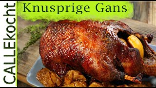 Knusprige Gans zubereiten Rezept für besten Gänsebraten [upl. by Reena]