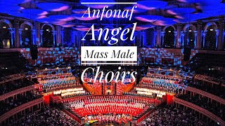 ANFONAF ANGEL  Perth Male Voice Choir on UK tour amp Welsh Festival of Male Choirs Royal Albert Hall [upl. by Okechuku]