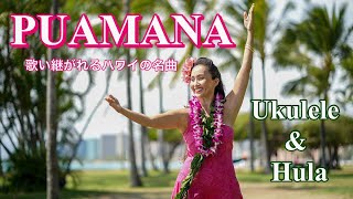 【マウイ島ラハイナの名曲】スタンダードなハワイアンソング「プアマナ」ウクレレ生演奏で踊ろう！歌詞と和訳つき Live Ukulele amp Hula PUAMANA [upl. by Dazraf]