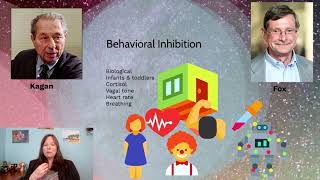 Behavioral Inhibition Social Development Social Withdrawal 3 [upl. by Westlund]