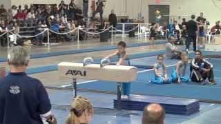 Asher Hong  2012 Valeri Liukin Invitational [upl. by Graniah]