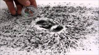 Magnetic Field Around Stack of Magnets With Iron Filings [upl. by Ycak]