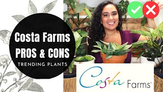 Costa Farms Trending Tropical Plants  Pros amp Cons of Buying Costa Farms Plants from Big Box Stores [upl. by Chamberlin339]