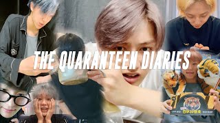 seventeen had to go under selfquarantine and this is what happened the quaranteen diaries [upl. by Eirahcaz]