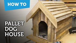 How to build a dog house with recycled pallets [upl. by Rad]