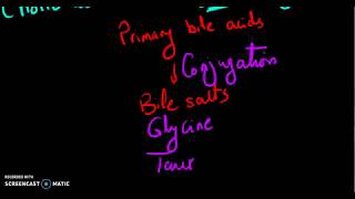 Cholesterol degradation بالعربى [upl. by Swart]