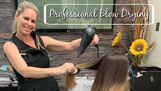 How To Professional Blow Dry With No Frizz  Salon Secrets and Techniques [upl. by Rosie]