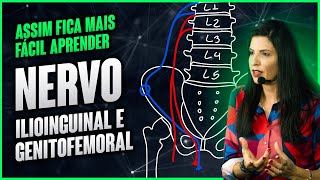 Assim fica mais fácil aprender  NERVO ILIOINGUINAL E GENITOFEMORAL  Dra Walkyria Fernandes [upl. by Aryhs568]