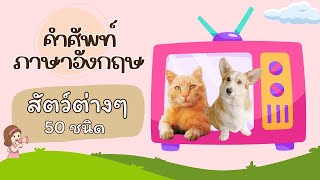 คำศัพท์ภาษาอังกฤษสำหรับเด็ก  หมวดสัตว์ต่างๆ 50 ชนิด I Animals For Kids [upl. by Murtha]